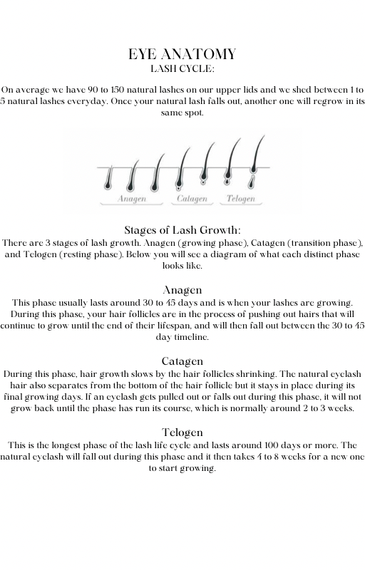 LASH MANUAL  (DONE FOR YOU)